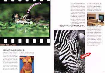�p���t���b�g����R